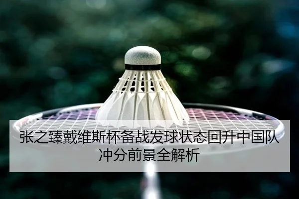 张之臻戴维斯杯备战发球状态回升中国队冲分前景全解析